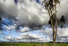 河北队连续比赛获得胜利，势不可挡