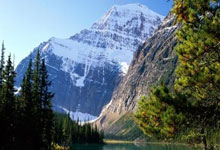 河北队连续比赛获得胜利，势不可挡