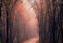 九游娱乐网站入口-尤文图斯击败AC米兰，继续领跑意甲积分榜，意甲第31轮尤文图斯对ac米兰