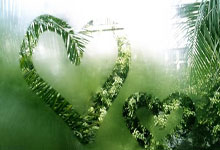 九游娱乐视频-阿尔帕斯遭遇黑马碾压，未能翻盘，阿尔帕官网