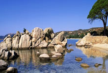 九游娱乐官方-阿尔艾因赛前发布会：全队信心满满迎战阿尔希拉尔