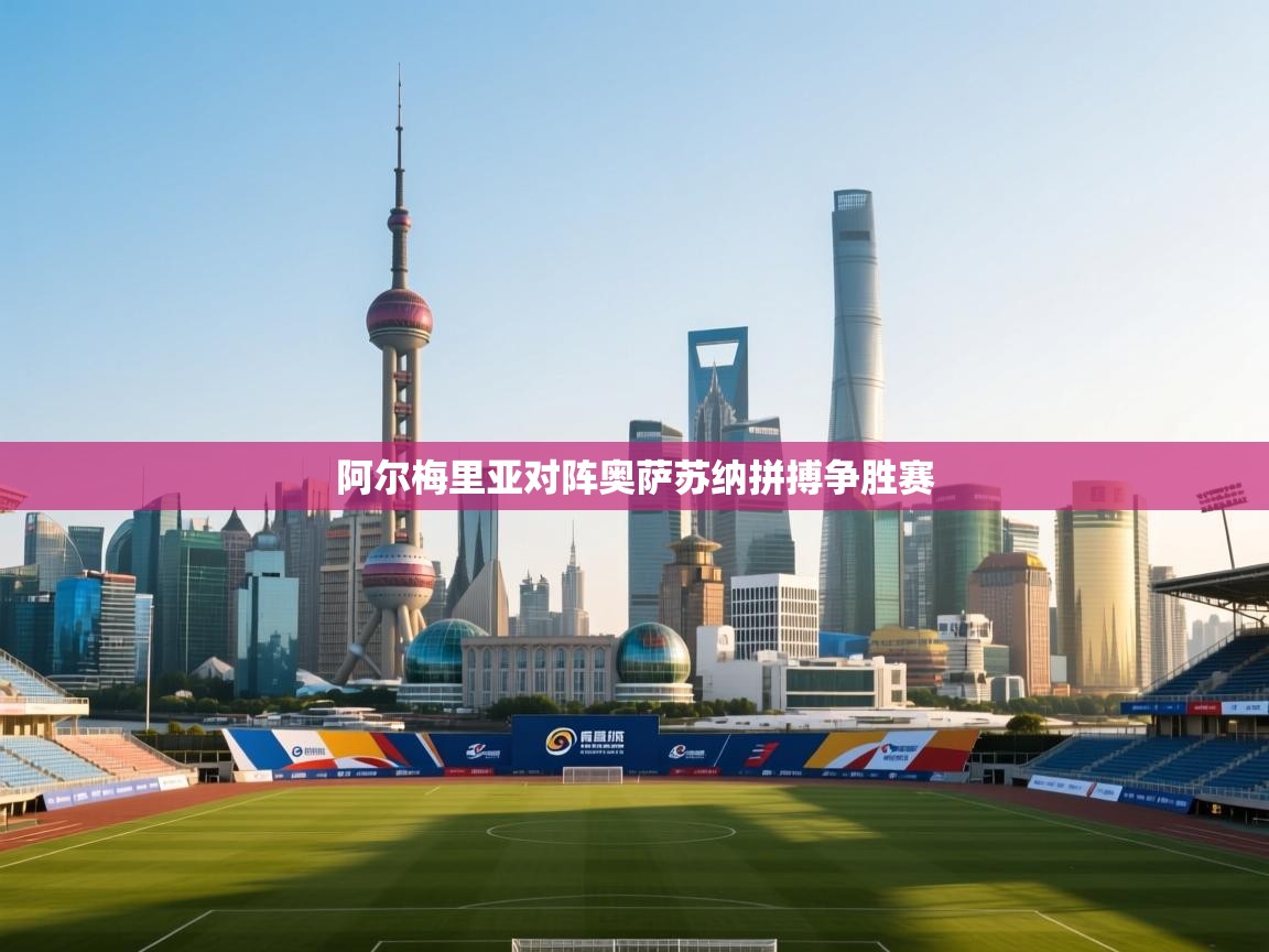 阿尔梅里亚对阵奥萨苏纳拼搏争胜赛  第2张