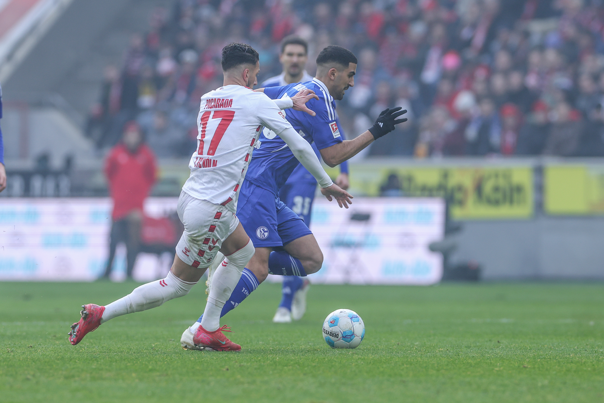 关于沙尔克队再次落败，备受球迷失望的信息